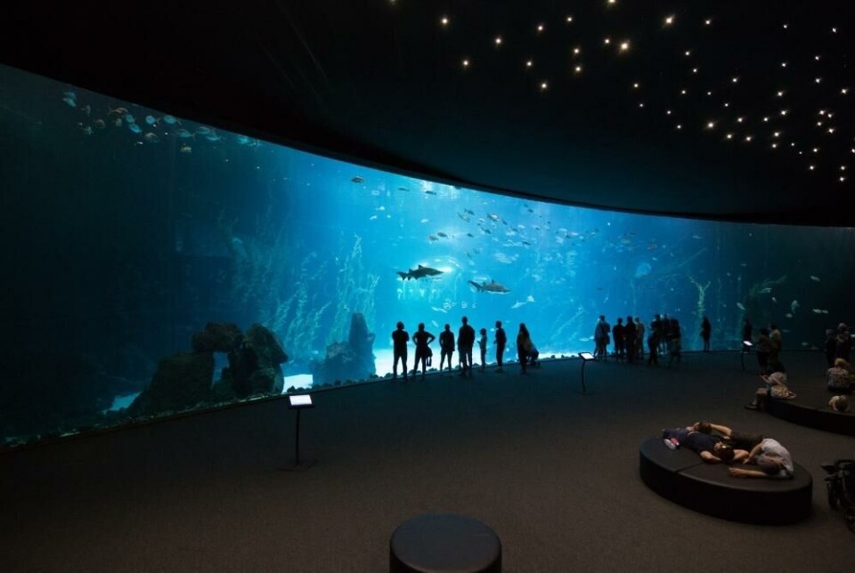 Poema del Mar – akvarium på Gran Canaria