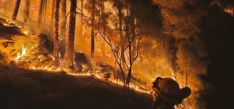 Foto: @ATBRIF Foto: @ATBRIF