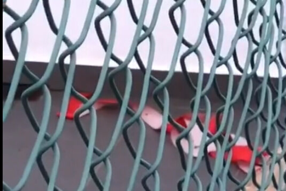 Foto: Skjermdump fra video