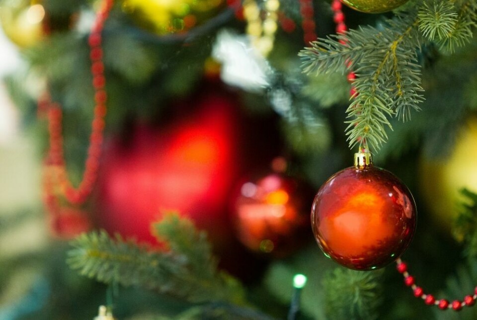 God jul fra oss i Canariavisen 📢 Få alt på Canariavisen i 6 mnd. for kun 414 kr!