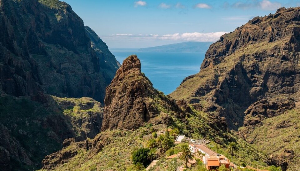 Masca på Tenerife.