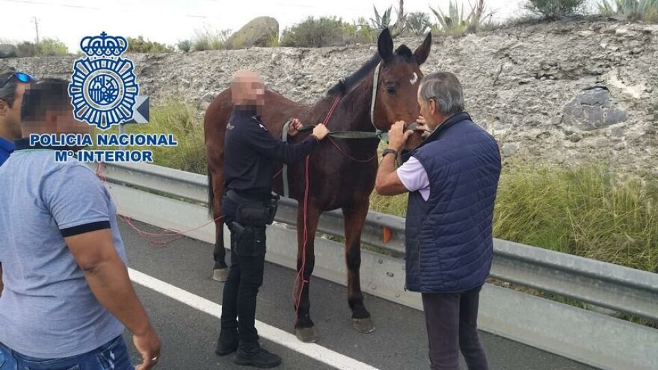 Foto: Policia Nacional