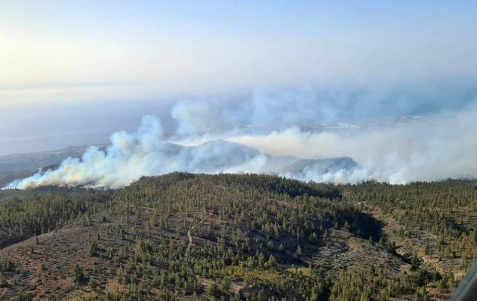 VIDEO-SPILLELISTE: Skogbrann på Tenerife.