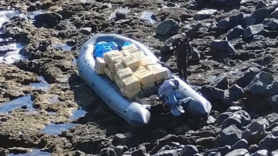 En lokal fisker kom over smuglerne i det de ankom kysten av Gran Canaria. Da stakk de av. Foto: Policia Nacional