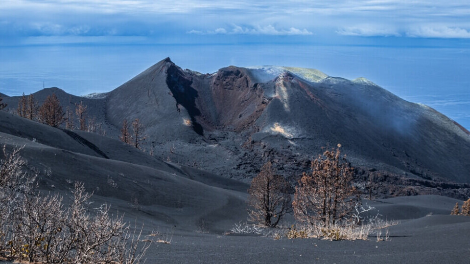 Foto: Maxi Perez/Shutterstock Foto: Maxi Perez/Shutterstock