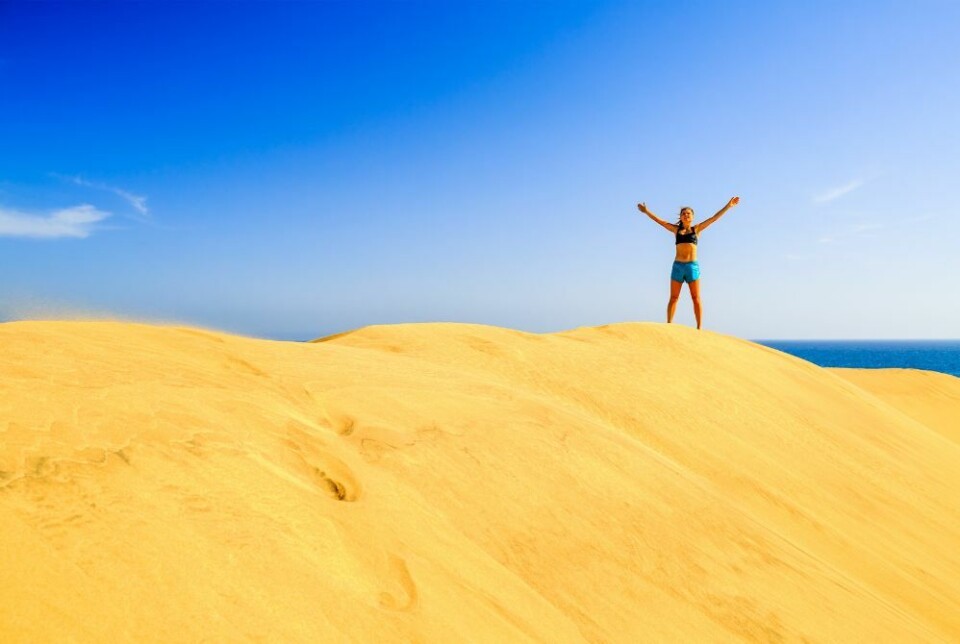 Foto: Envato Elements