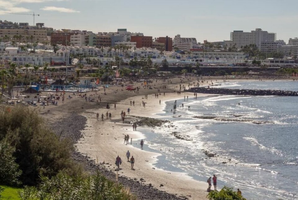 Costa Adeje på Tenerife. Foto: Sue Burton Photography/Shutterstock