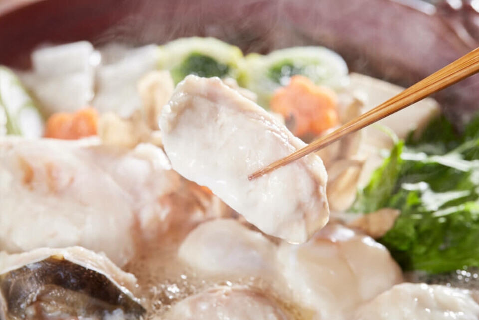 EN FARLIG DELIKATESSE: I Japan spises kulefisk som delikatesse. Det har tatt mange liv. Foto: Shutterstock/Funny Face EN FARLIG DELIKATESSE: I Japan spises kulefisk som delikatesse. Det har tatt mange liv. Foto: Shutterstock/Funny Face
