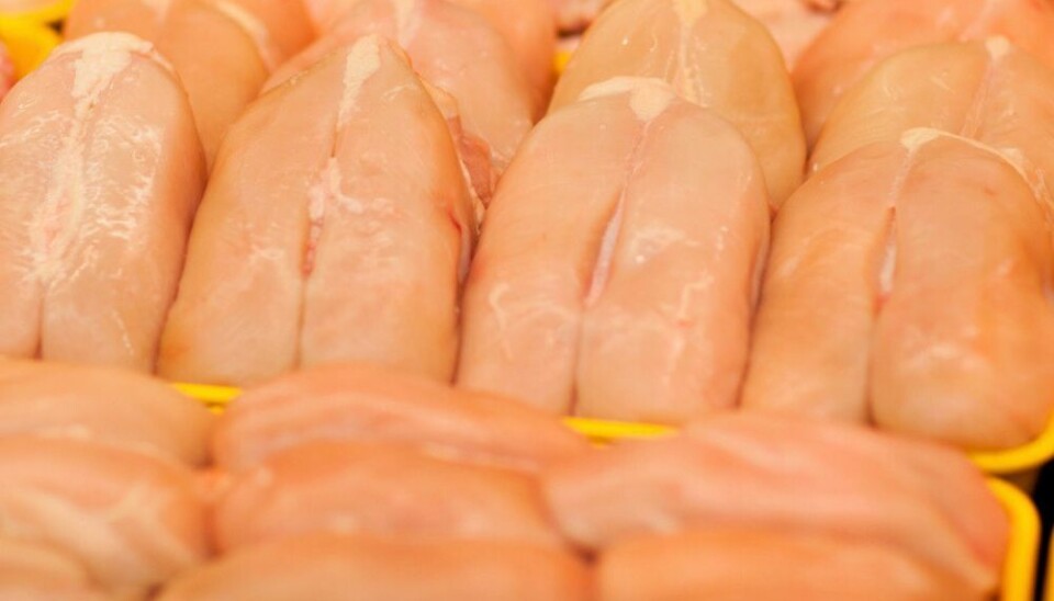 DYRERE: Kyllingen har vært populær og relativt billig på middagsbordet. Men nå er den vesentlig dyrere.