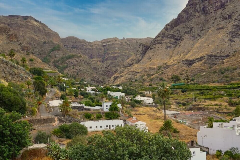 I Agaete-dalen dyrkes det kaffe på Gran Canaria. Foto: Shutterstock I Agaete-dalen dyrkes det kaffe på Gran Canaria. Foto: Shutterstock