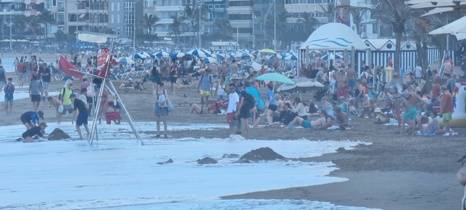 Foto: Mi Playa de Las Canteras. Foto: Mi Playa de Las Canteras.