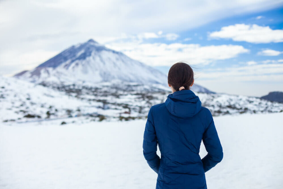 Foto: Viktor Gladkov/Shutterstock