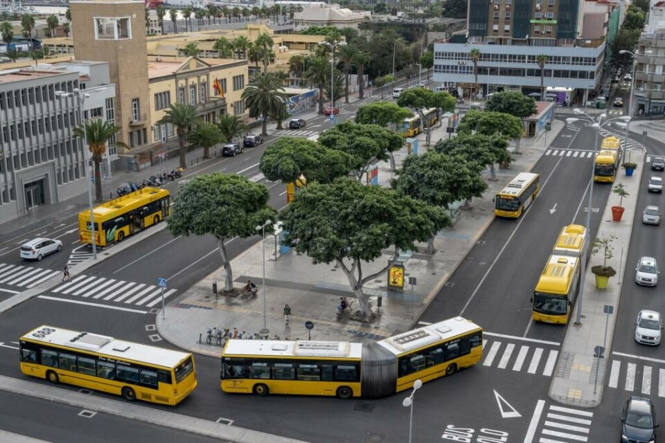 Foto: Guaguas Municipales