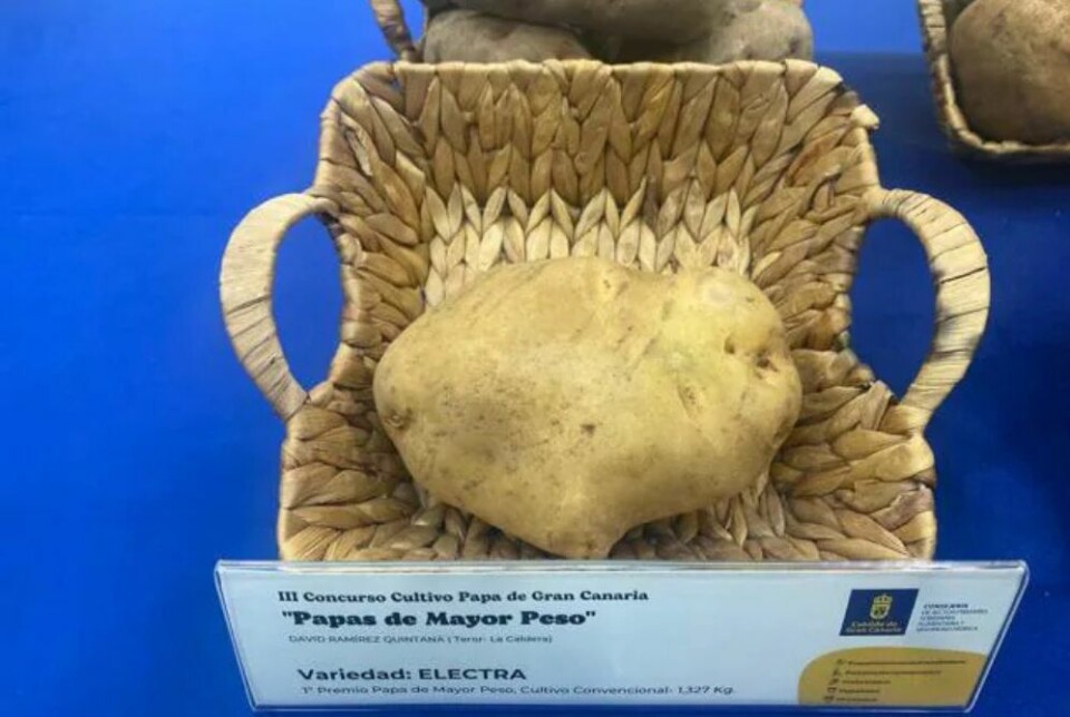 Foto: David Delfour/Ayuntamiento de Teror