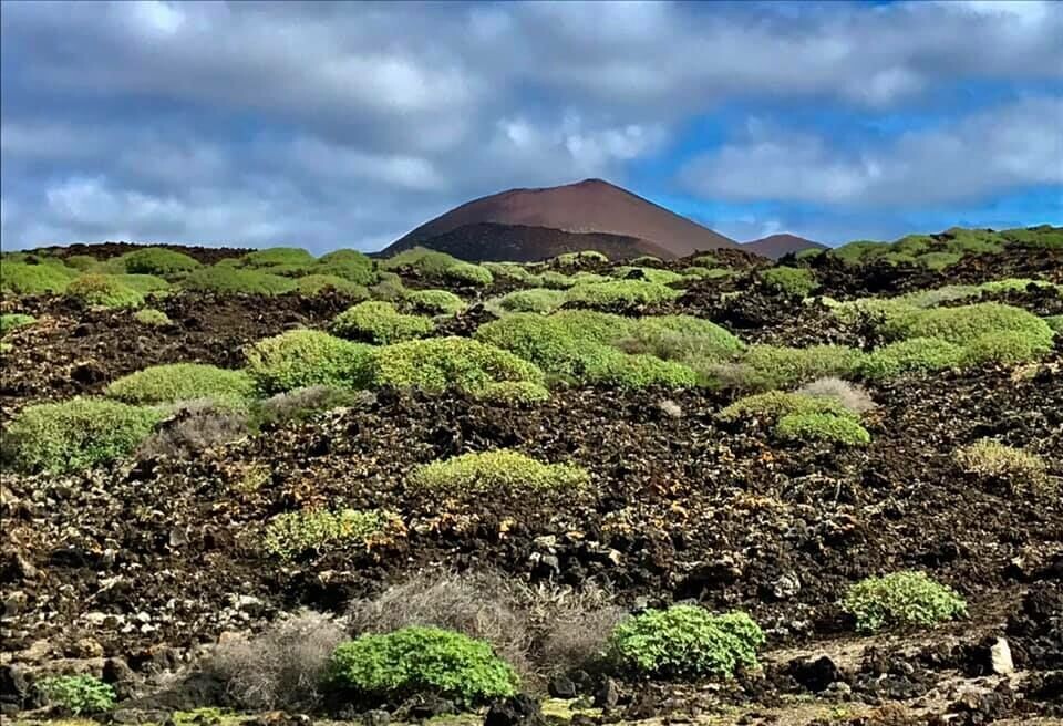 El Gofio på Lanzarote. Send oss dine bilder! Foto: Trond Bremseth