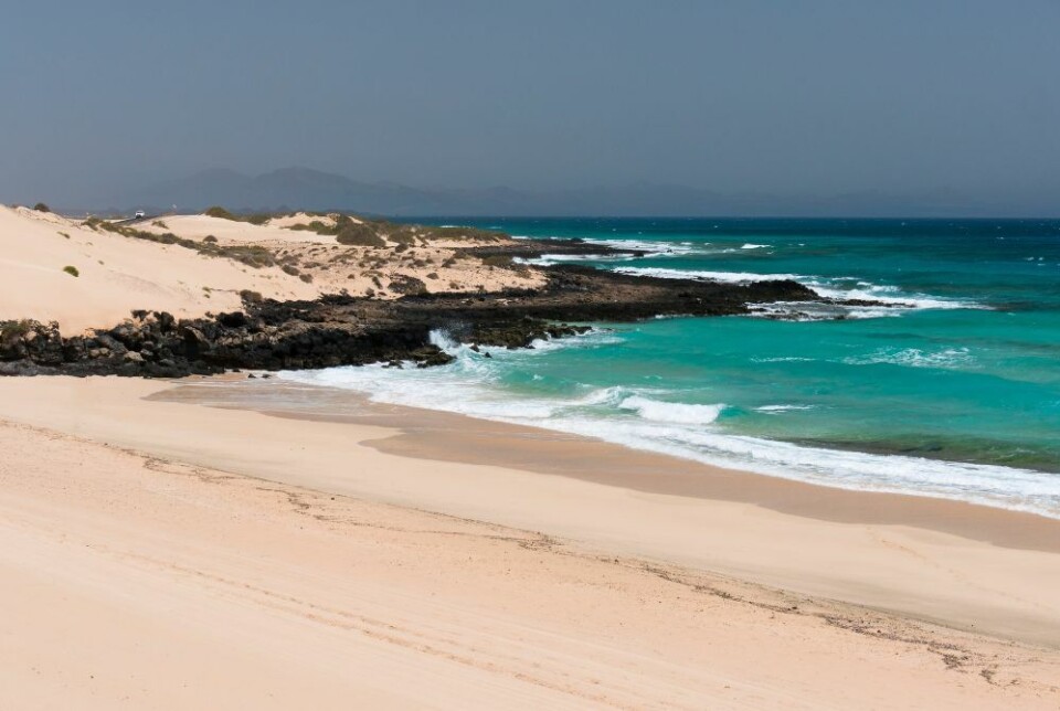 Havet på Kanariøyene har blitt 13 prosent surere på 25 år. Foto: Envato Elements