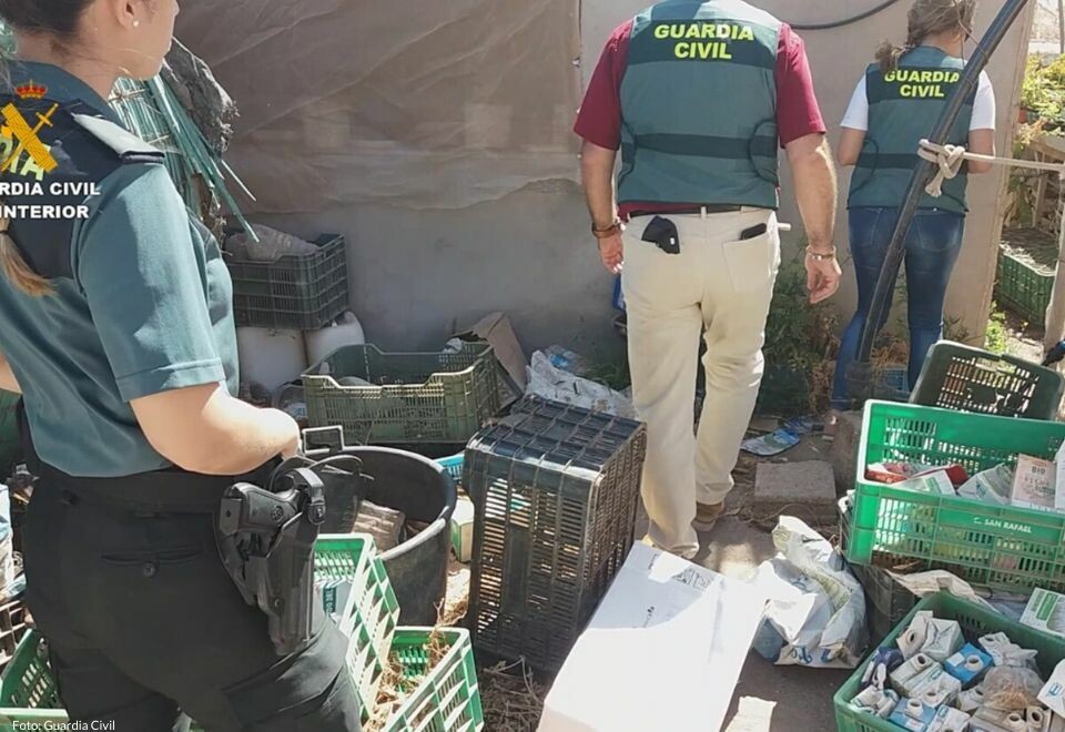 Mann pågrepet for voldtekt og frihetsberøvelse på Gran Canaria