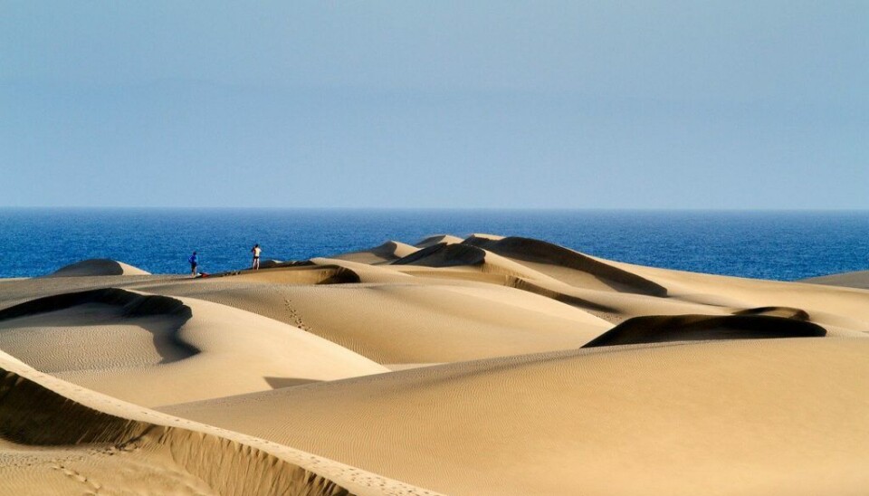 Maspalomas-sanddynene er verdenskjente og en populær attraksjon på Gran Canaria. Foto: El Coleccionista de Instantes Fotografía & Video
