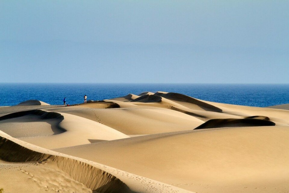 Maspalomas-sanddynene er verdenskjente og en populær attraksjon på Gran Canaria. Foto: El Coleccionista de Instantes Fotografía & Video Maspalomas-sanddynene er verdenskjente og en populær attraksjon på Gran Canaria. Foto: El Coleccionista de Instantes Fotografía & Video