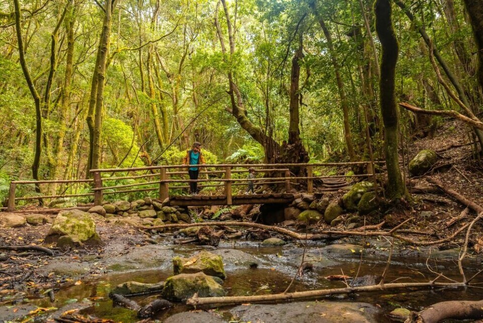 En reise tilbake i tid på La Gomera. Foto: Shutterstock