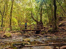 En reise tilbake i tid