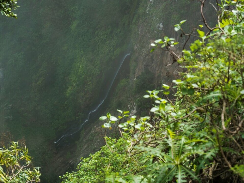 Regnskog og magiske fossefall i El Cedro. Foto: Shutterstock Regnskog og magiske fossefall i El Cedro. Foto: Shutterstock