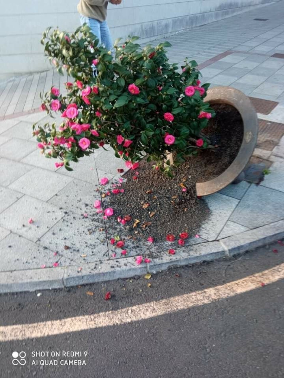 Foto: Noticias de San Mateo