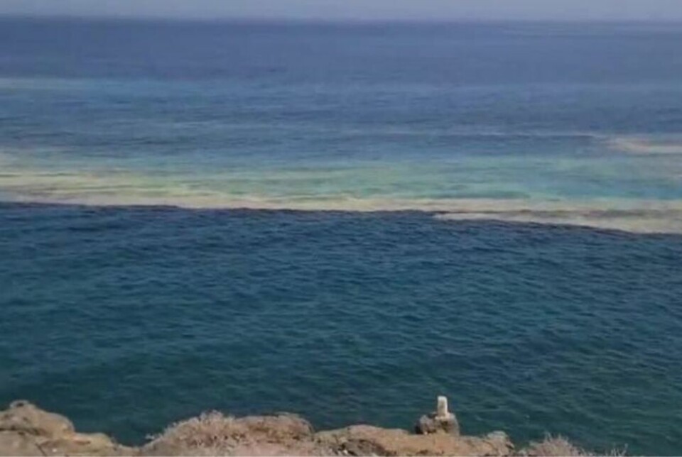 Mikroalgene dukket opp sør på Gran Canaria igjen. Foto: Privat