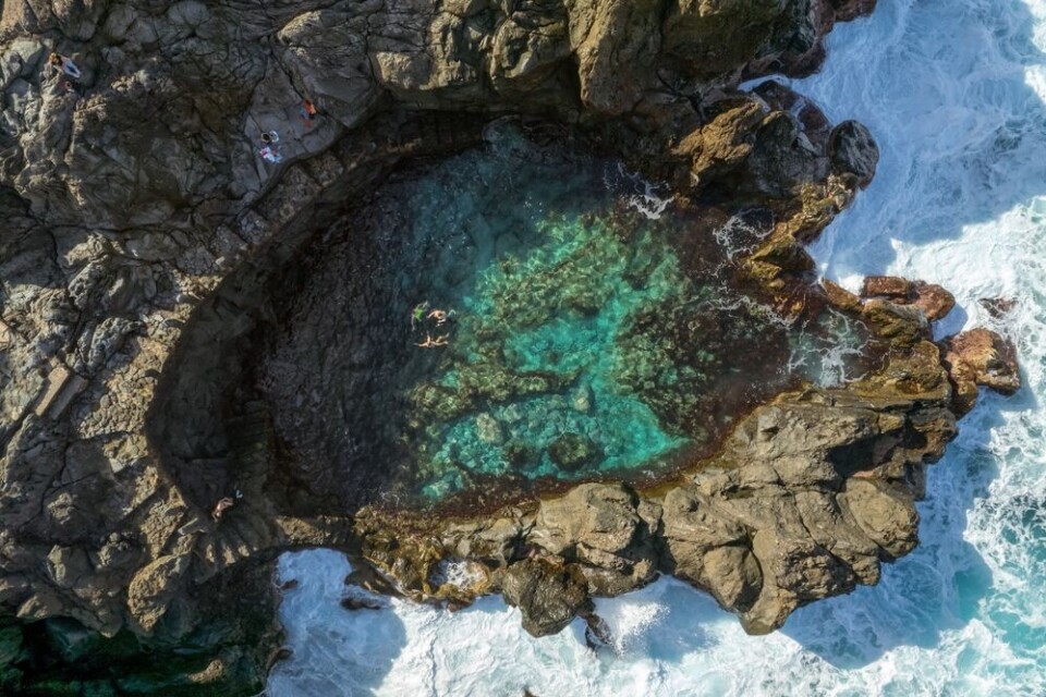 Charco de La Laja på Tenerife. Foto: Shutterstock