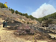 Les også: En sag kan ha startet skogbrannen på Gran Canaria