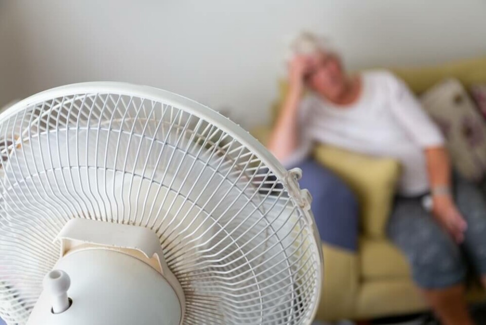Foto: eyematter/Shutterstock
