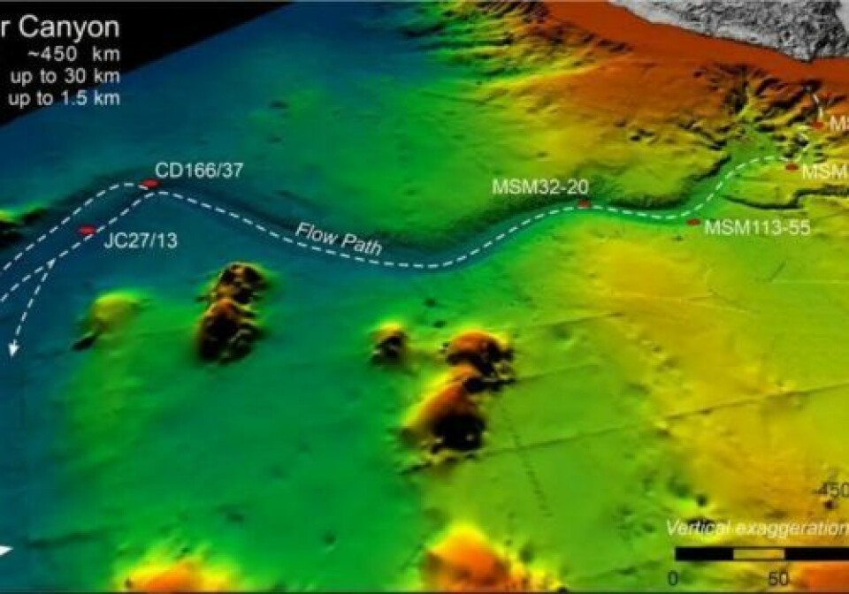 Dette 3D-bildet illustrerer hvordan skredet beveget seg gjennom Agadir-canyon fra kysten av Marokko og videre ut i Atlanterhavet, nord for Kanariøyene. Illustrasjon: Christoph Bottner, Århus universitet