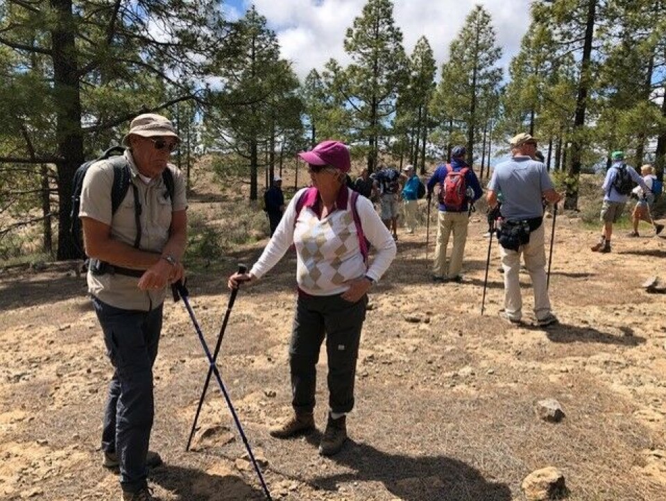 Fjellvandring arrangerte av Den Skandinaviska klubben på Gran Canaria. Foto: Skandinaviska klubben Fjellvandring arrangerte av Den Skandinaviska klubben på Gran Canaria. Foto: Skandinaviska klubben