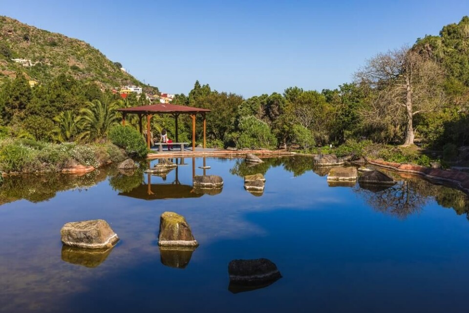 Den botaniske hagen i Las Palmas, Jardín Botánico Canario Viera y Clavijo. Foto: Lev Levin/Shutterstock Den botaniske hagen i Las Palmas, Jardín Botánico Canario Viera y Clavijo. Foto: Lev Levin/Shutterstock