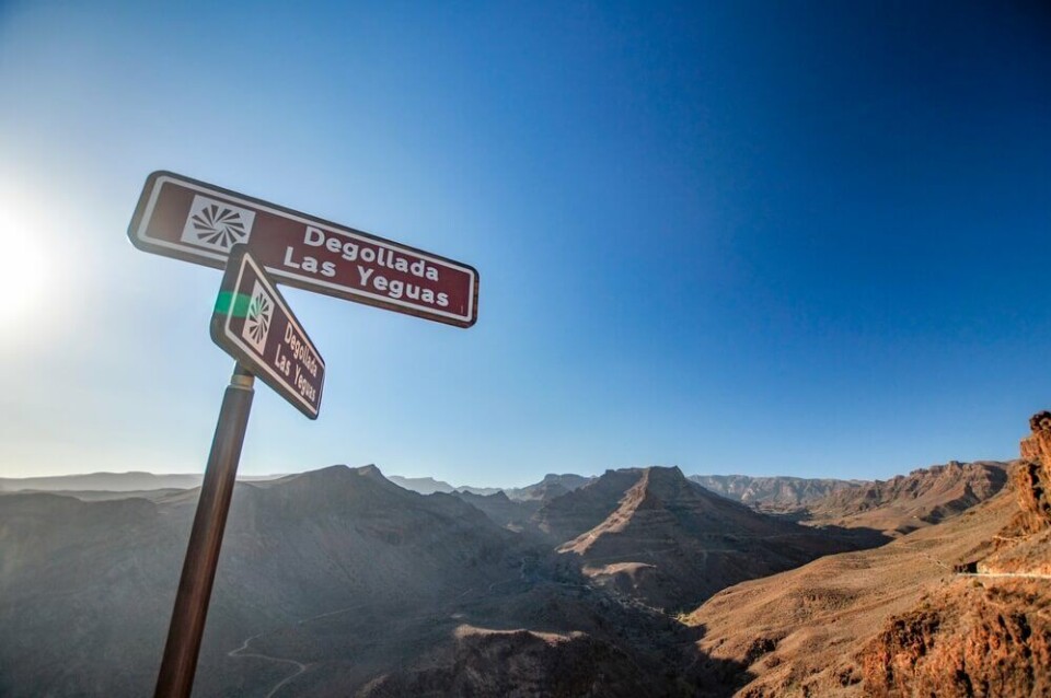 Foto: Shutterstock Foto: Shutterstock