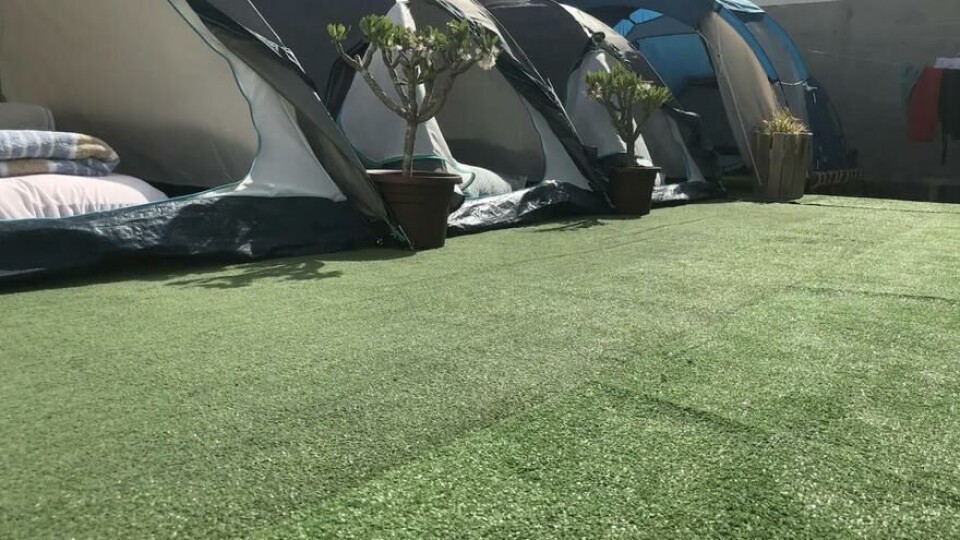 Teltene er satt opp på rekke og rad og koster rundt 15 euro natta. Foto: Airbnb Teltene er satt opp på rekke og rad og koster rundt 15 euro natta. Foto: Airbnb