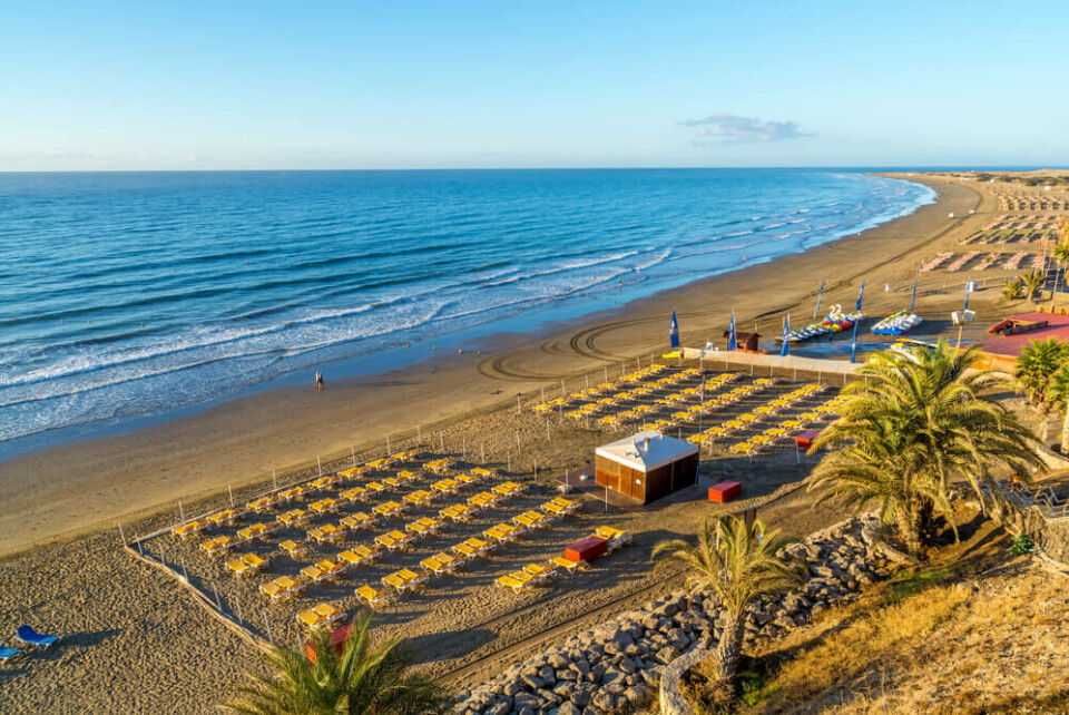 Playa del Inglés. Foto: Kalin Eftimov/Shutterstock