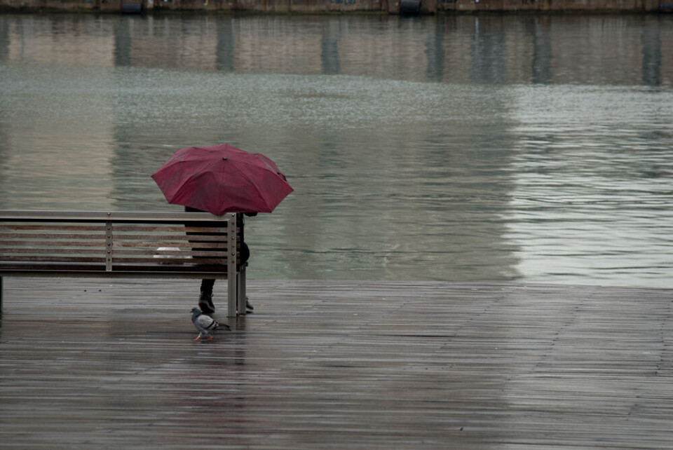 Foto: Michalakis Ppalis/Shutterstock