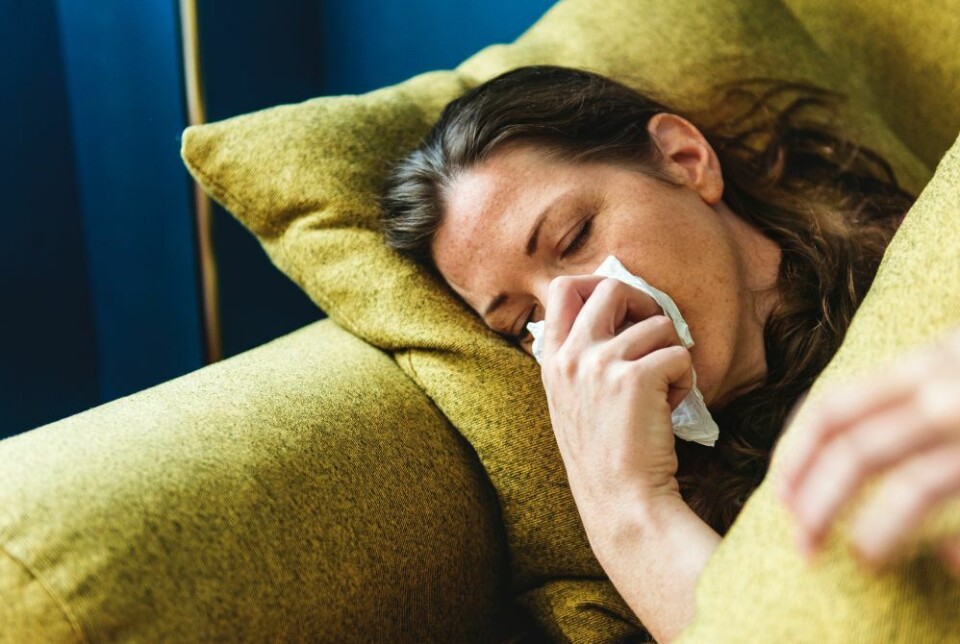 Muggsopp kan gi symptomer som kan minne om en forkjølelse, men også mer alvorlige plager som astma og konsentrasjonsvansker. Foto: Envato Elements Muggsopp kan gi symptomer som kan minne om en forkjølelse, men også mer alvorlige plager som astma og konsentrasjonsvansker. Foto: Envato Elements