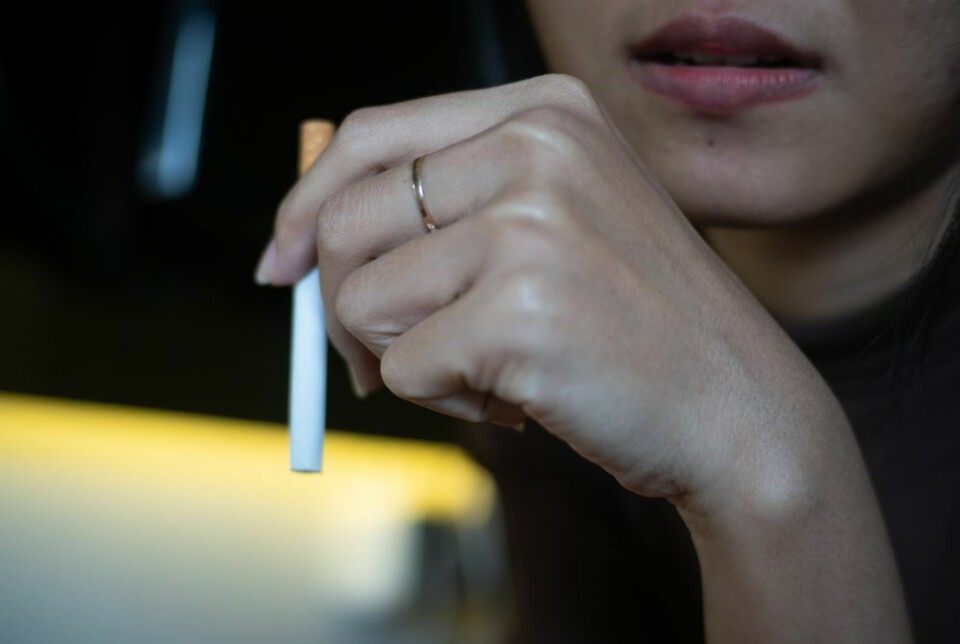 Foto: Envato Elements