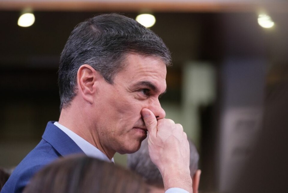 Spanias statsminister, Pedro Sánchez. Foto: Oscar Gonzalez Fuentes/Shutterstock
