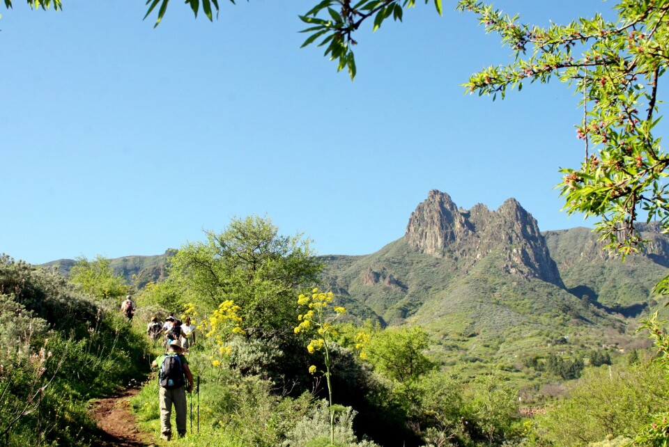Foto: Canary Islands Tourism