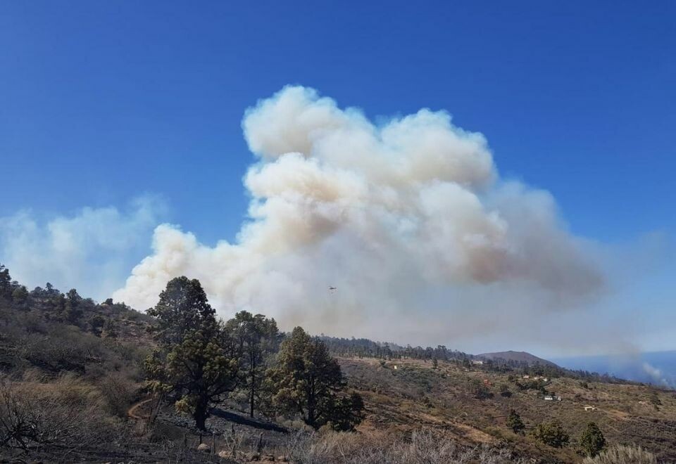 Skogbrannen på La Palma som startet på fredag er stabilisering, men ikke under kontroll.