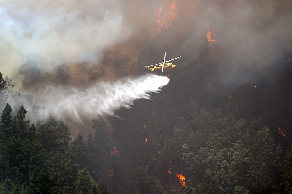 Skogbrannen på Tenerife i fjor. Foto: Ubay Rodriquez