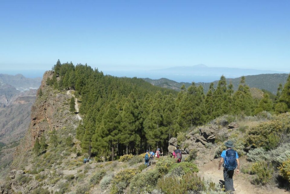 En av strekningene langs Camino de Santiago på Gran Canaria fra Cruz de Tejeda til Artenara. Foto: Ayuntamiento de Gáldar