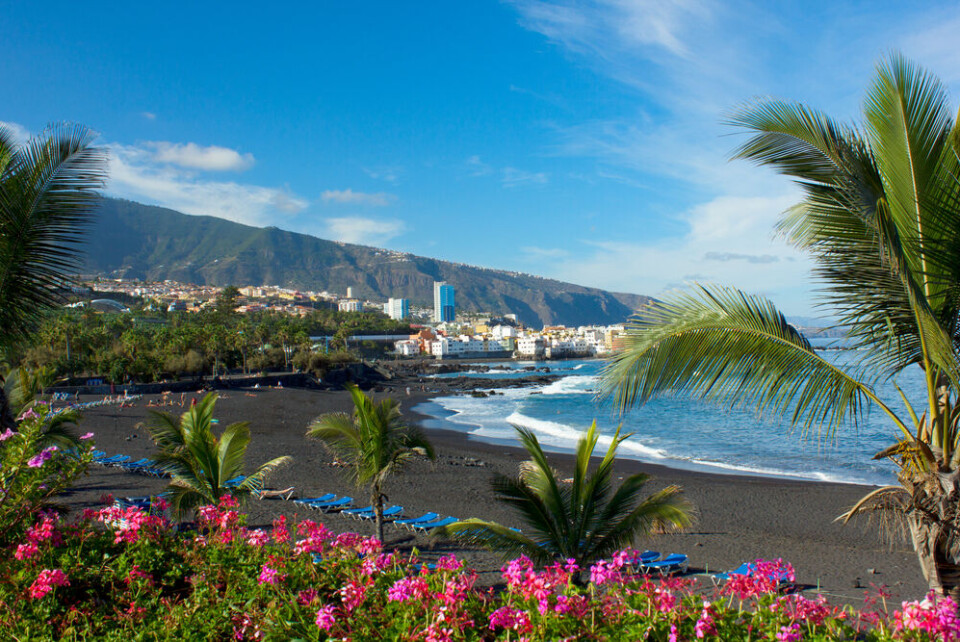 Playa Jardin på Tenerife. Foto: Neirfy/Shutterstock