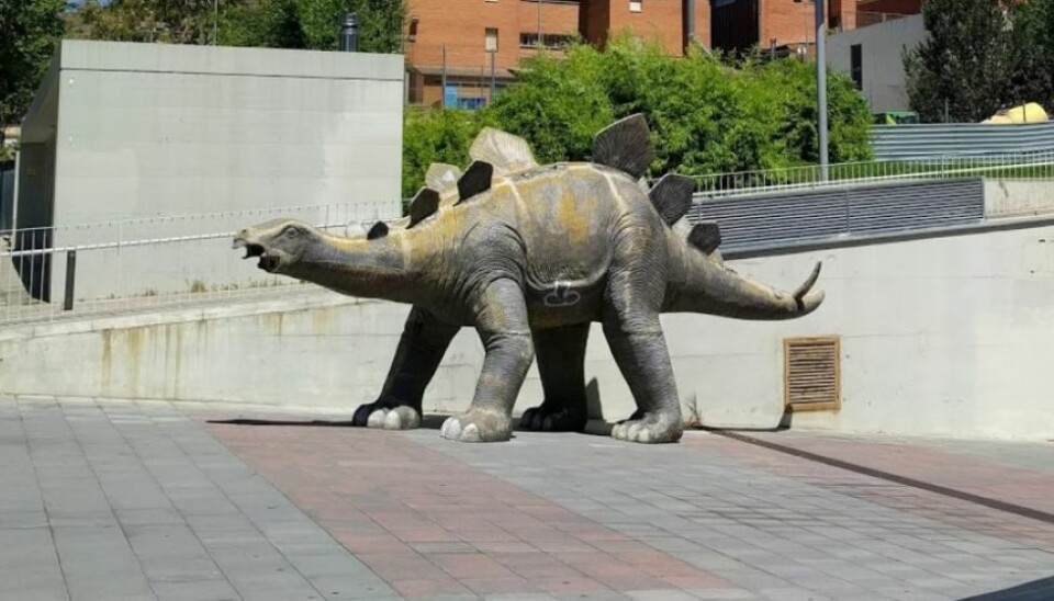 Foto: Google Maps