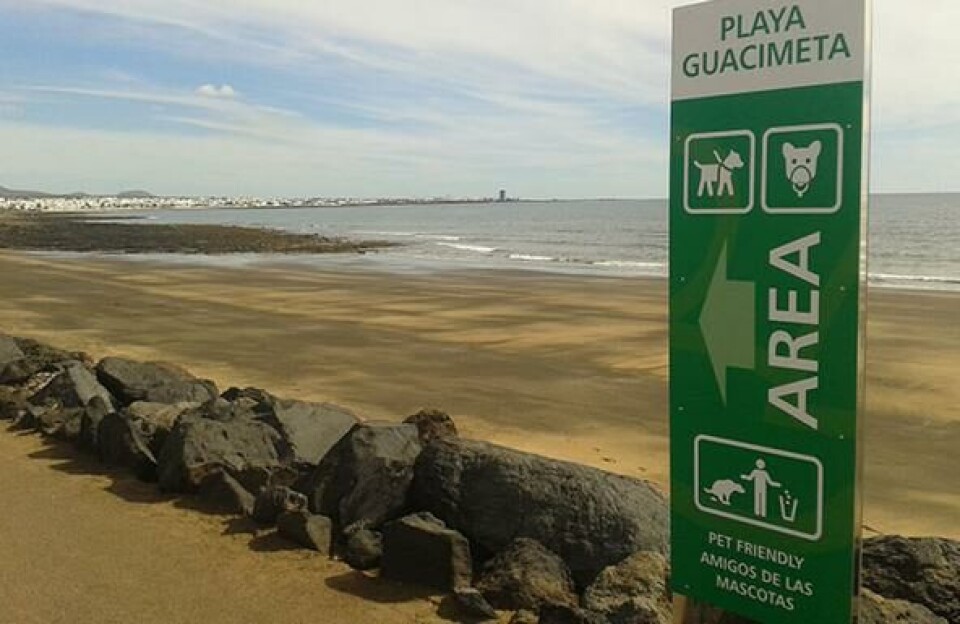 Guacimeta. Guacimeta.