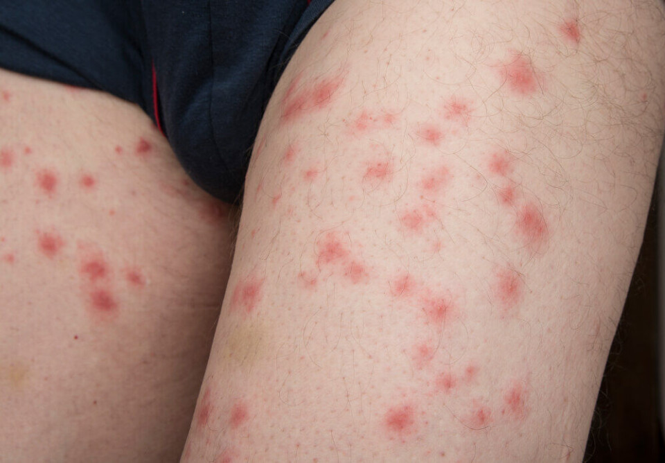 Foto: OttoPles/Shutterstock Foto: OttoPles/Shutterstock