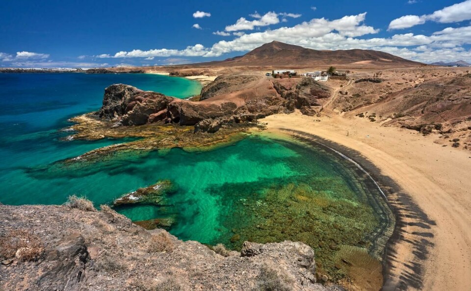 Papagayo på Lanzarote. Foto: Hola Islas Canarias